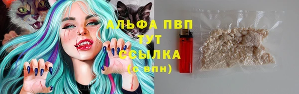 сатива Михайловск