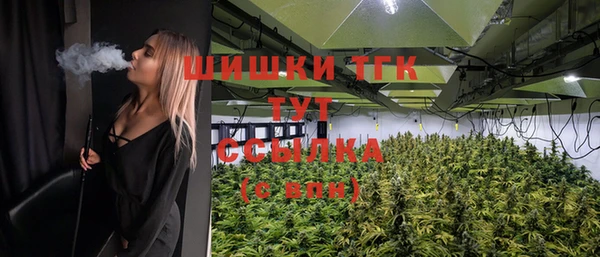 сатива Михайловск