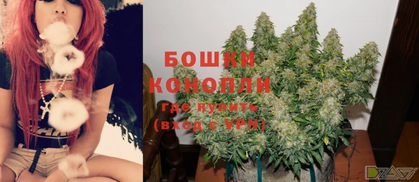 сатива Михайловск