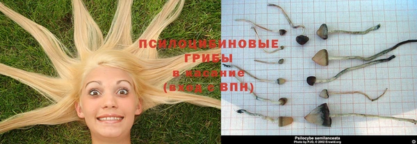 СК Михайловка