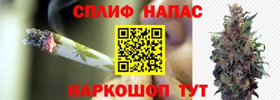 дмт Нарткала