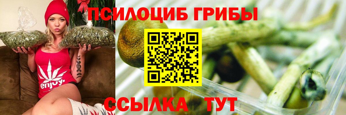 Галлюциногенные грибы MAGIC MUSHROOMS Нарьян-Мар